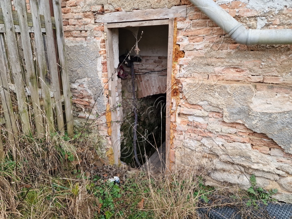 Obrázek dražby