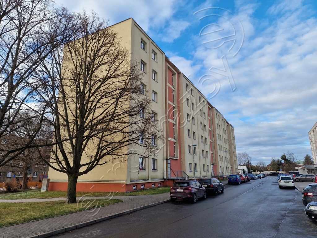 Obrázek dražby