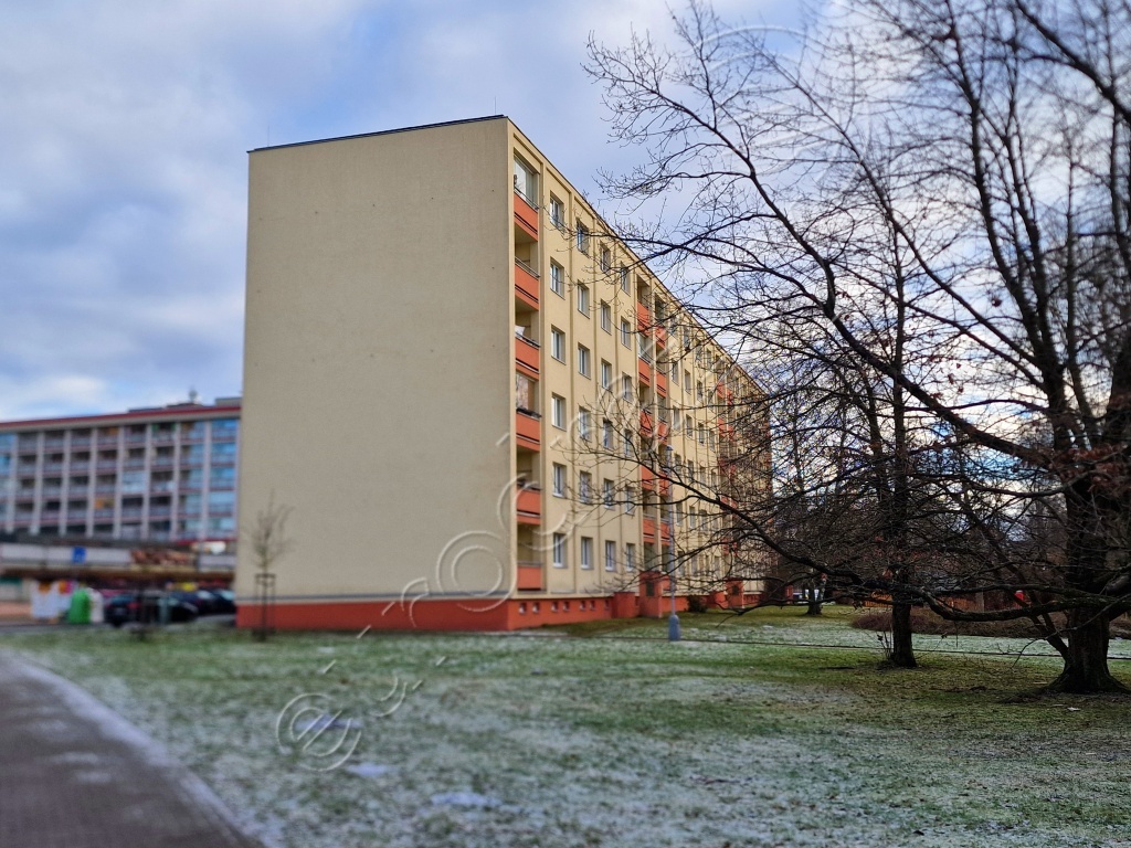 Obrázek dražby