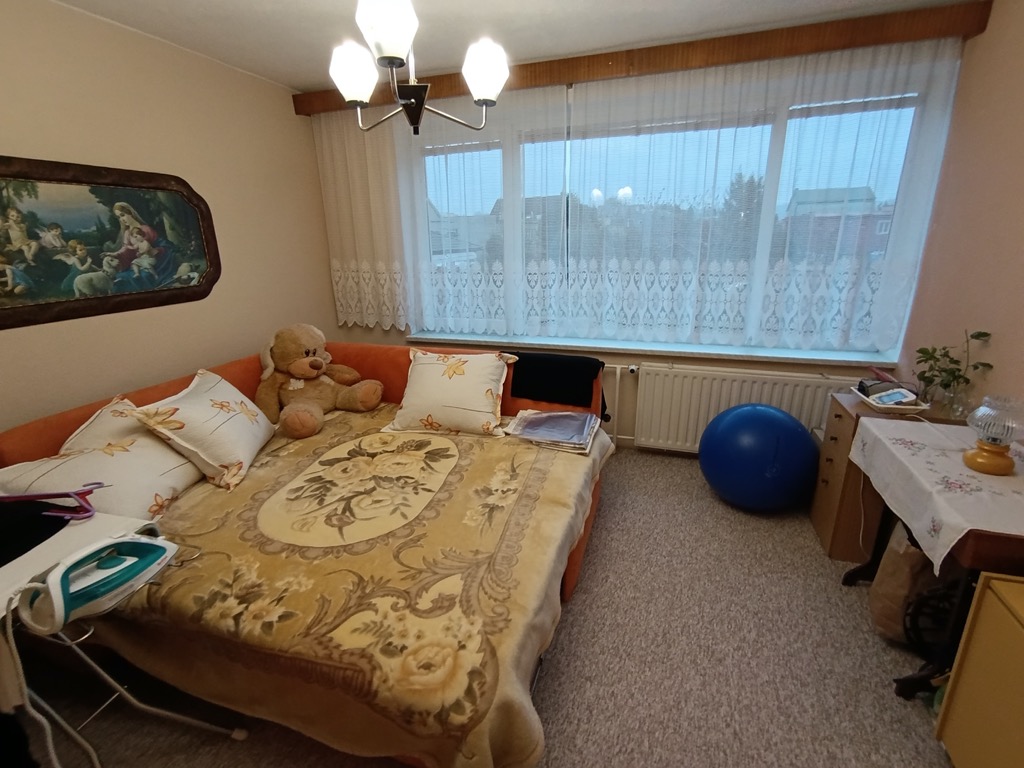 Obrázek dražby