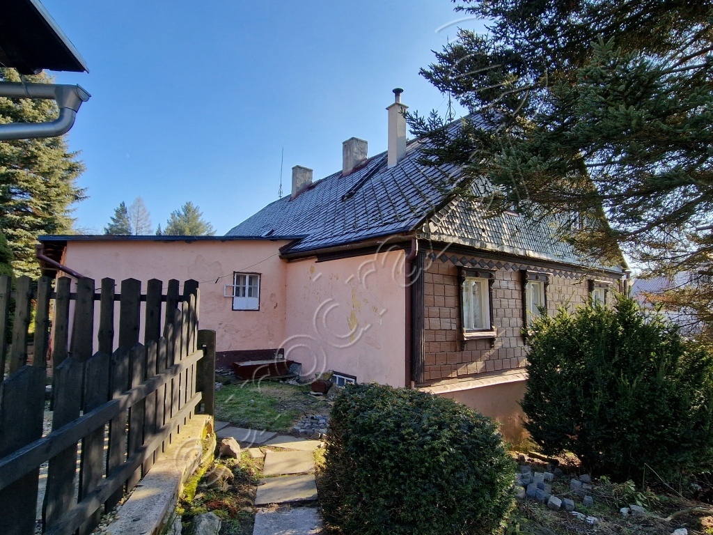 Obrázek dražby