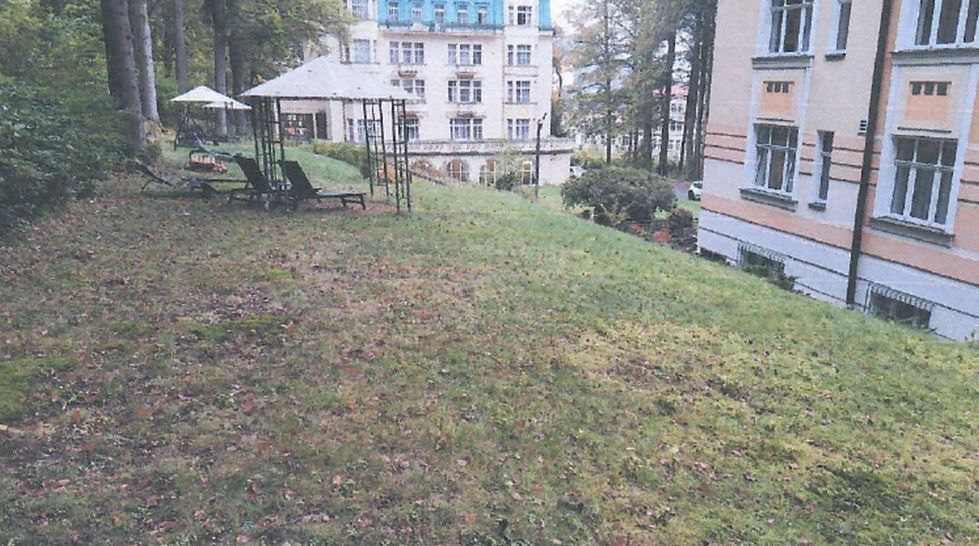 Obrázek dražby