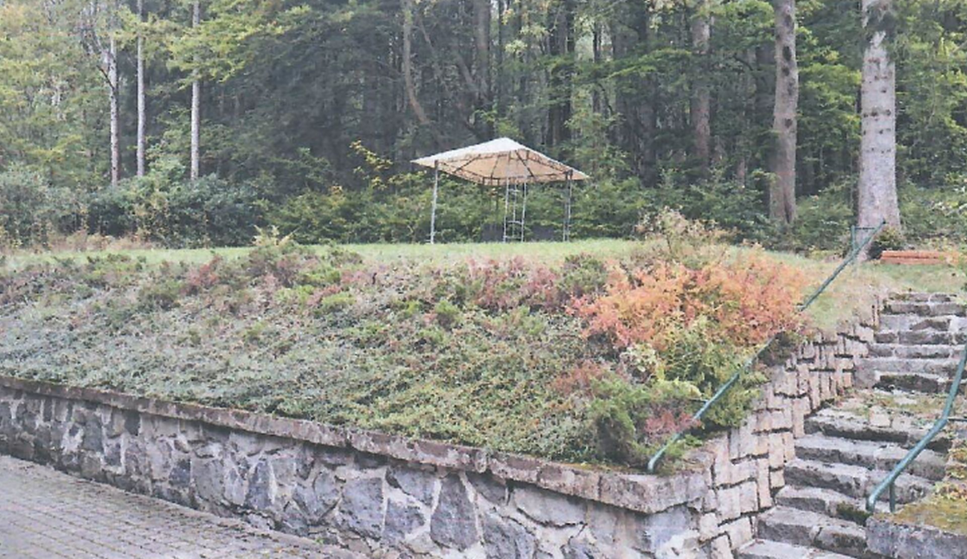Obrázek dražby