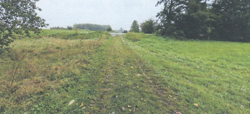 Obrázek dražby
