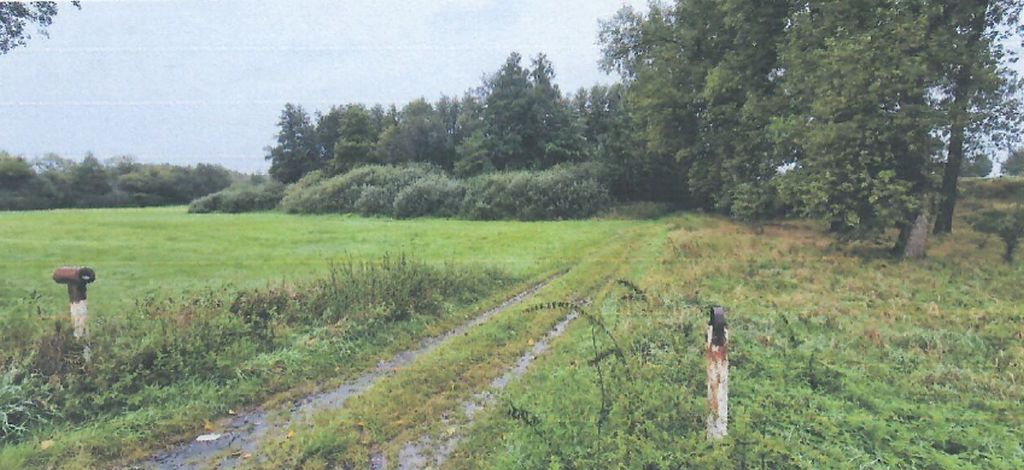 Obrázek dražby