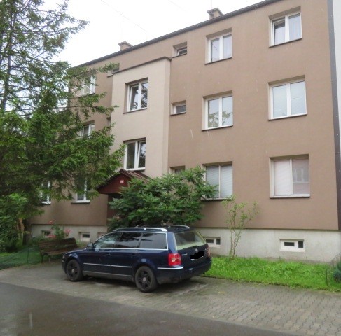 Obrázek dražby