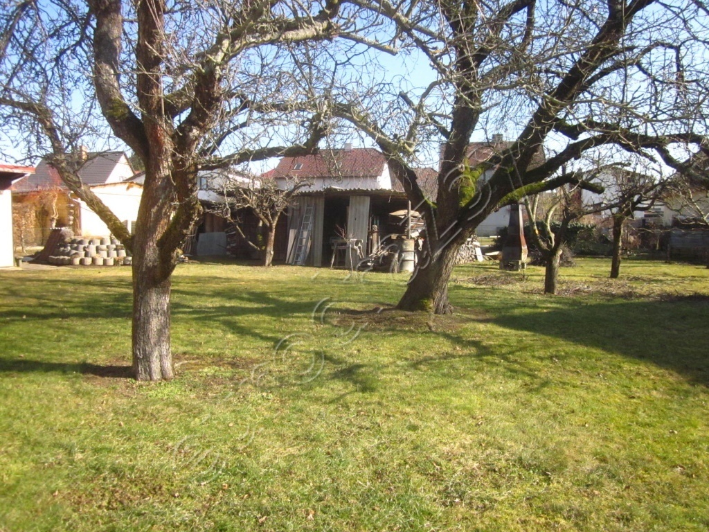 Obrázek dražby