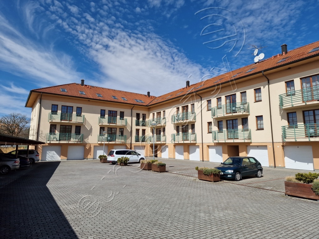 Obrázek dražby