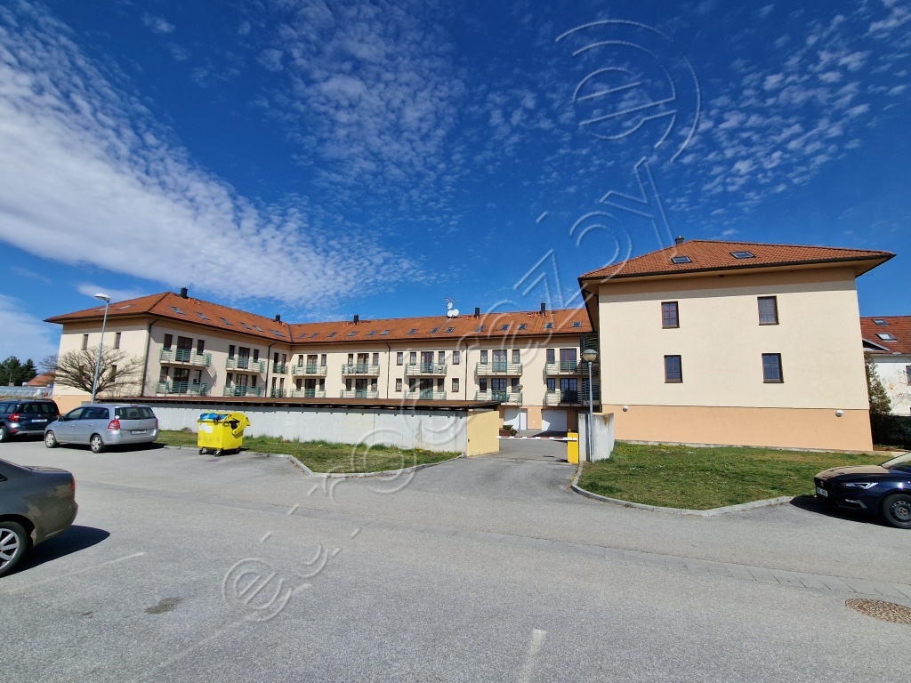 Obrázek dražby