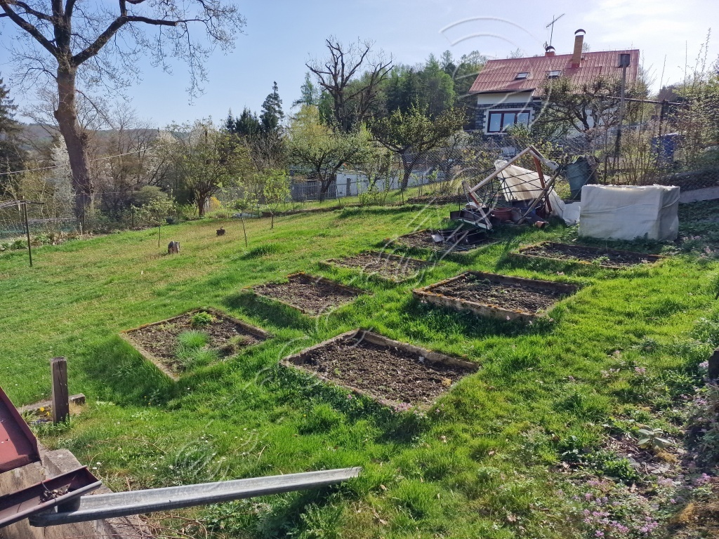 Obrázek dražby