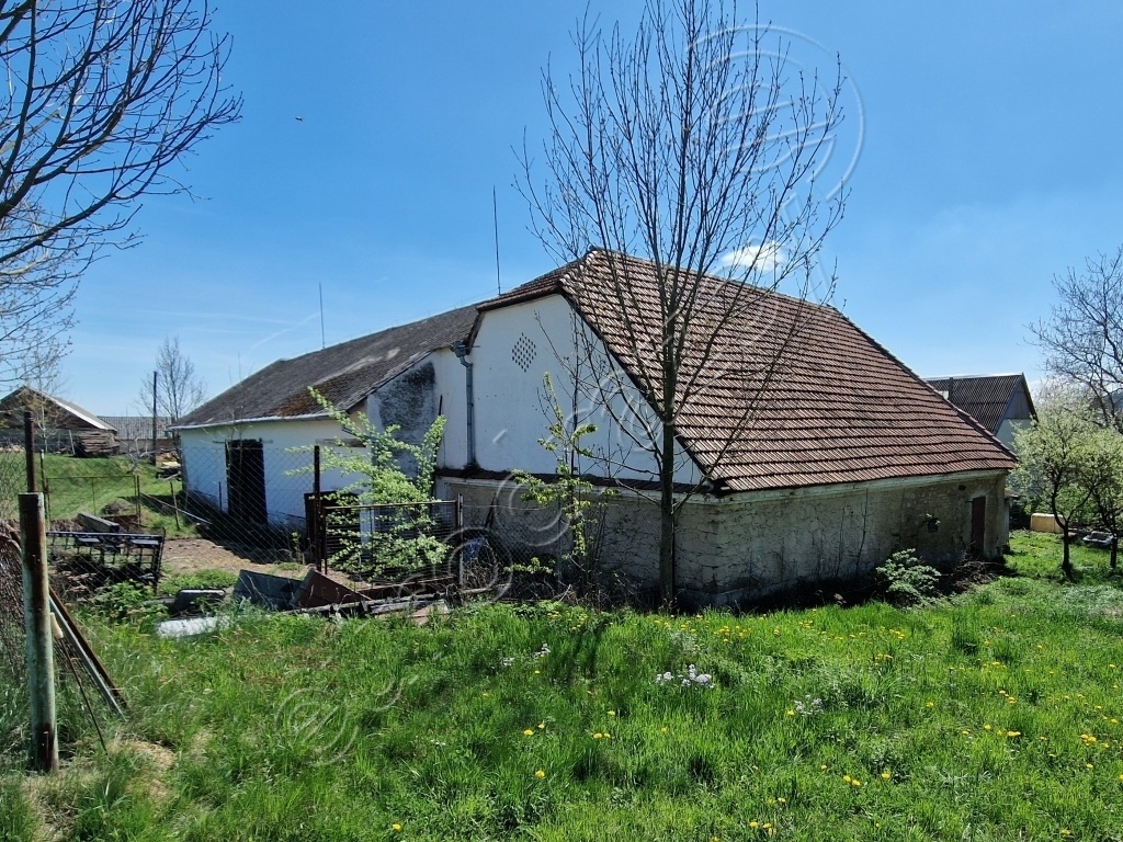 Obrázek dražby