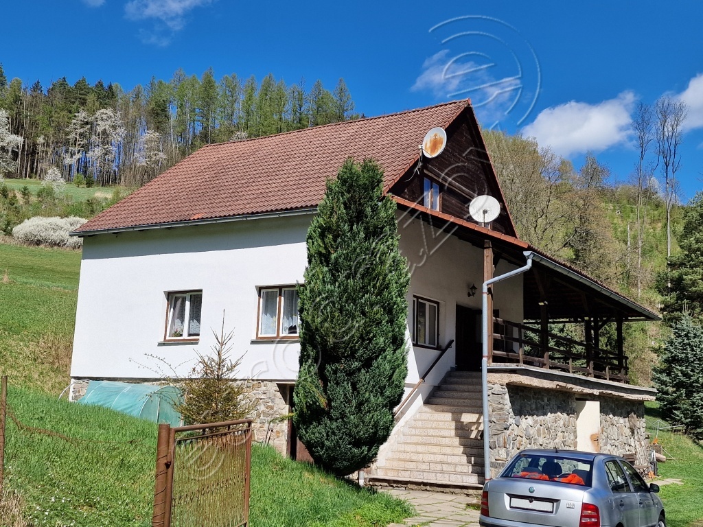 Obrázek dražby