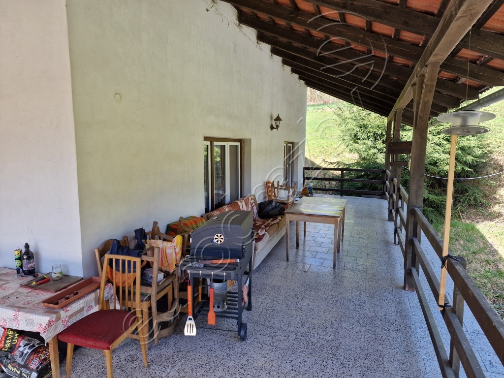 Obrázek dražby