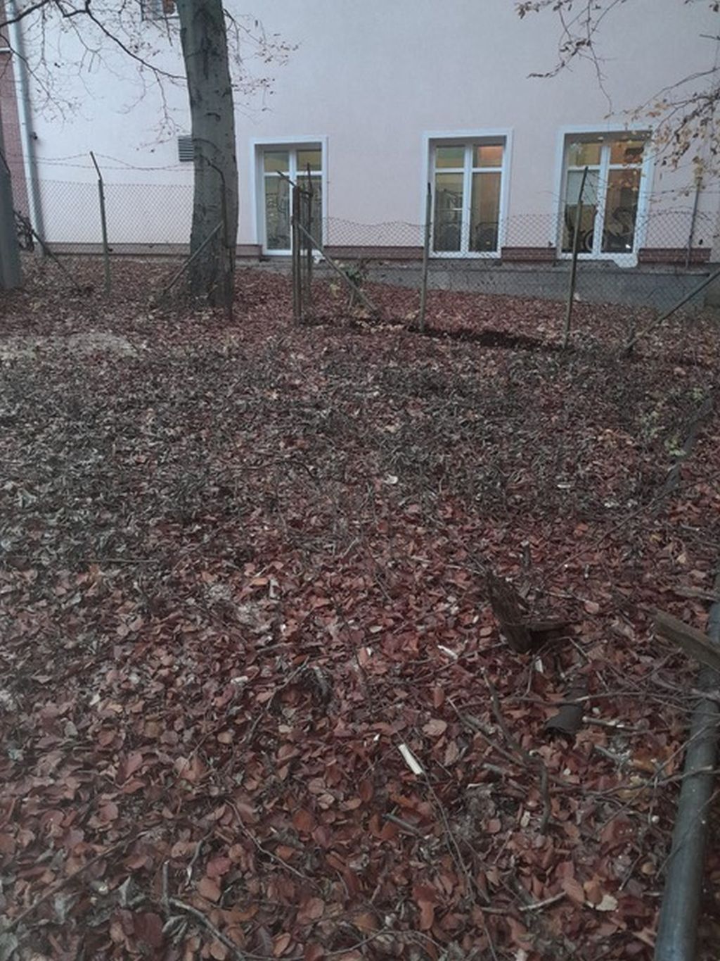 Obrázek dražby