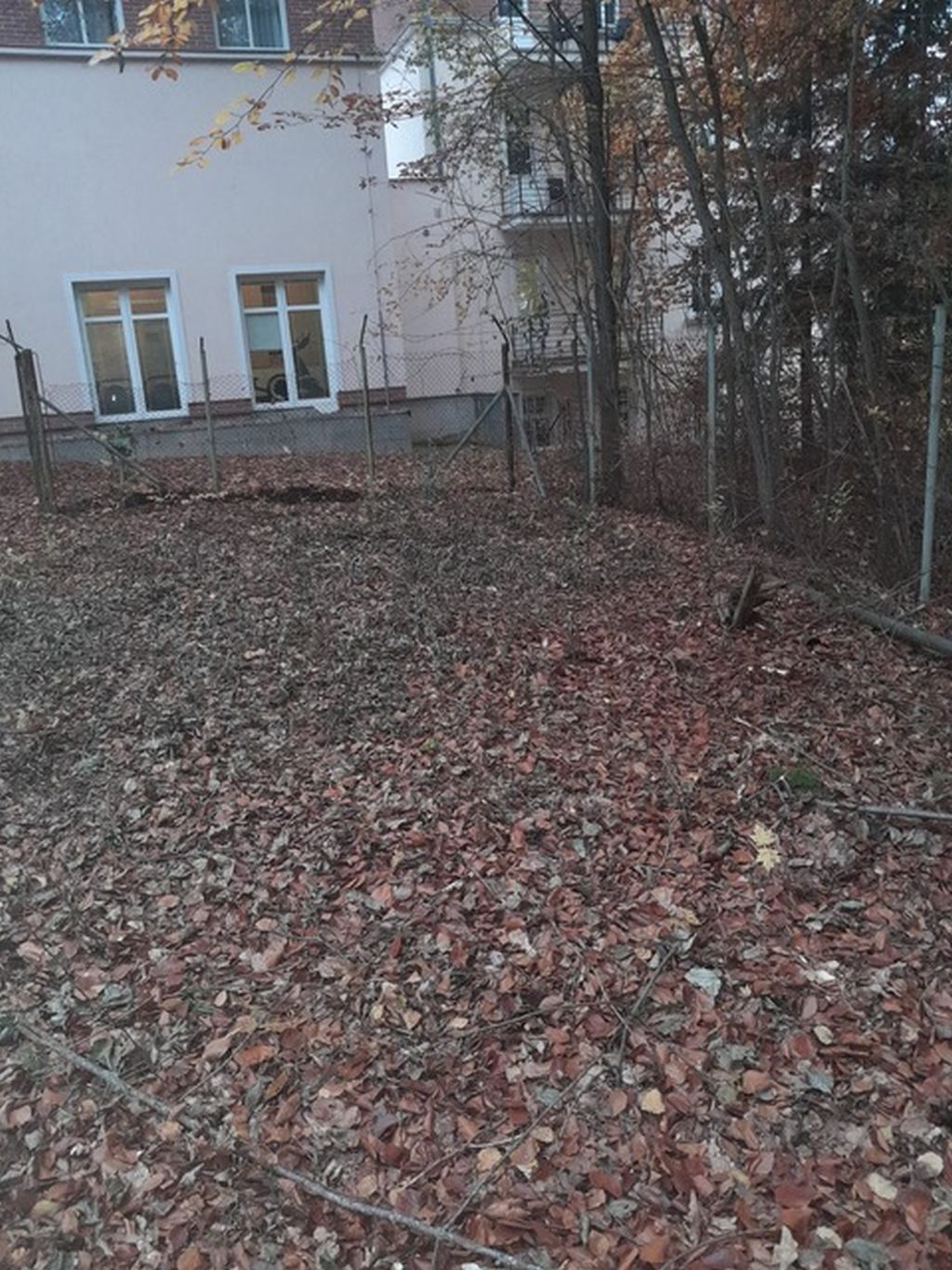Obrázek dražby