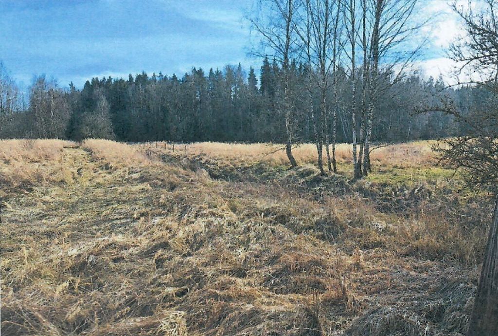 Obrázek dražby