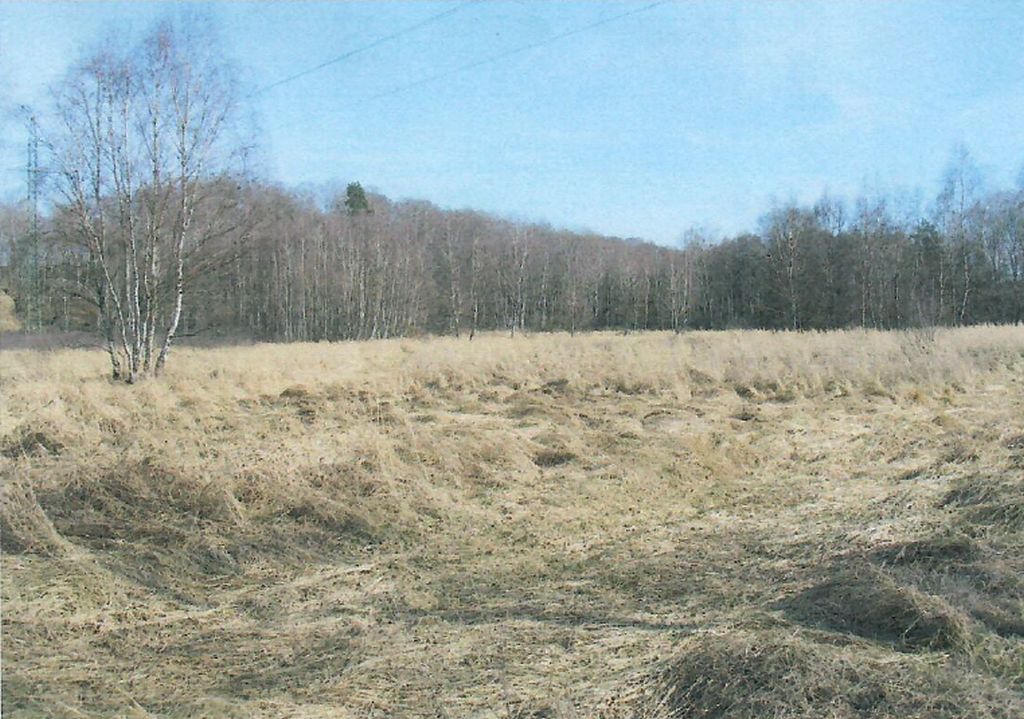 Obrázek dražby