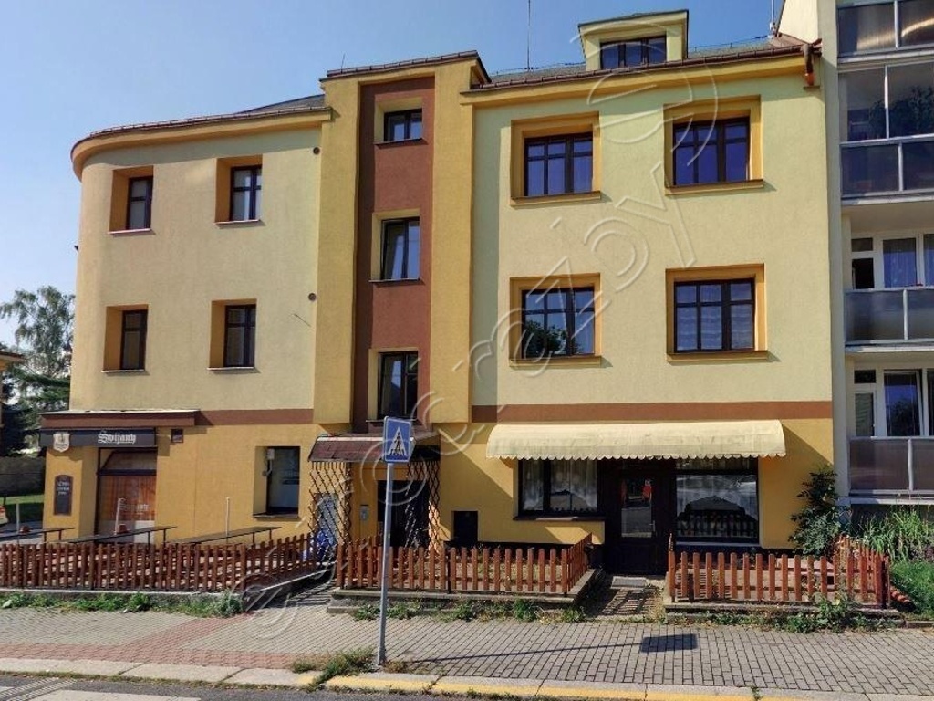 Obrázek dražby