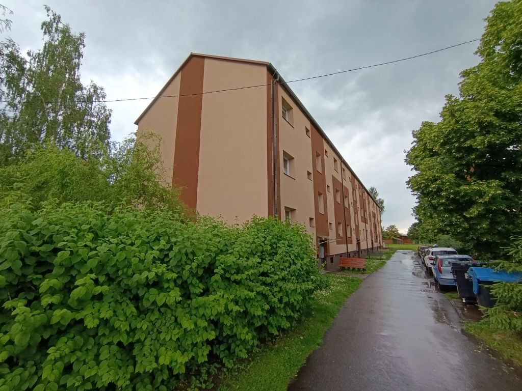 Obrázek dražby
