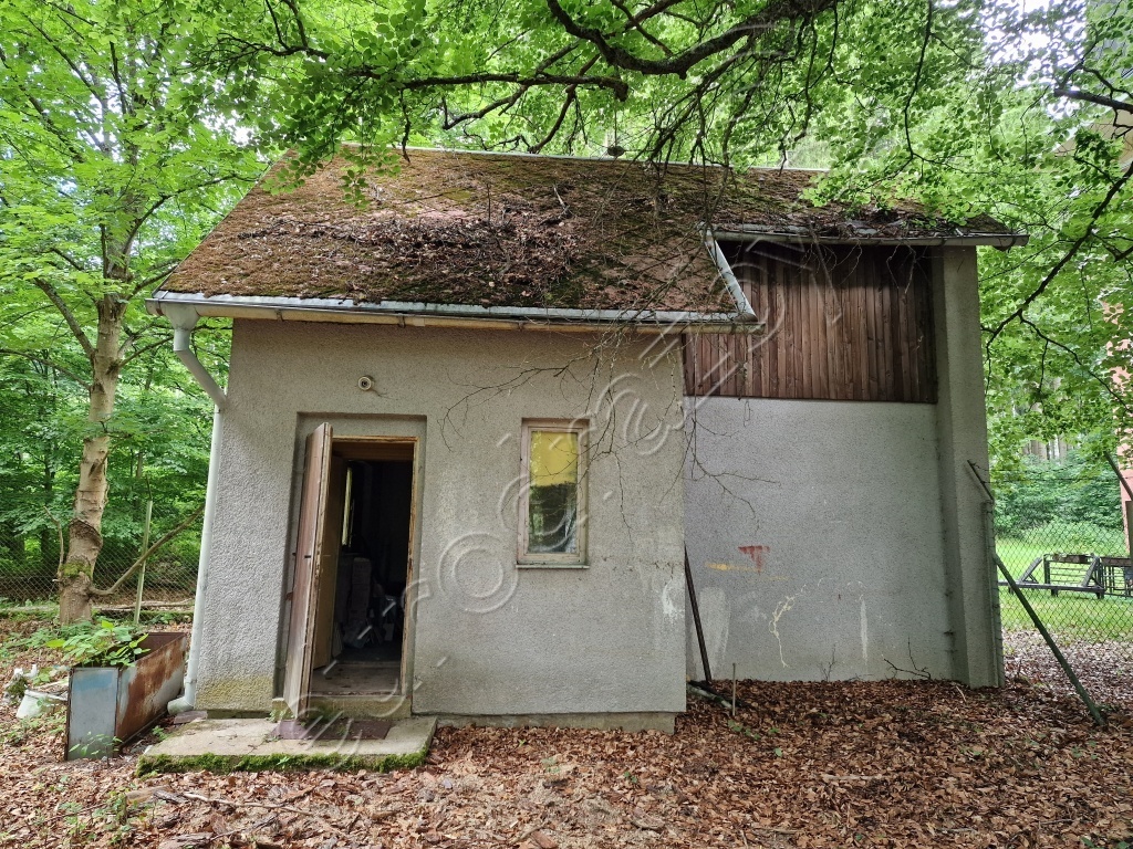 Obrázek dražby