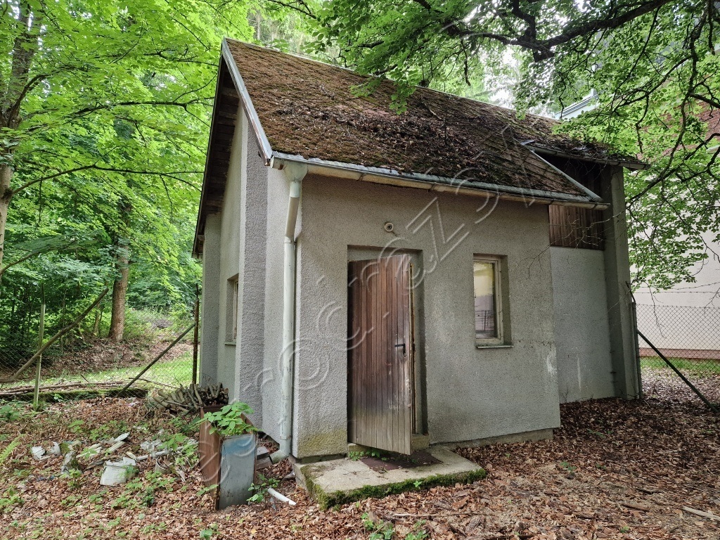 Obrázek dražby