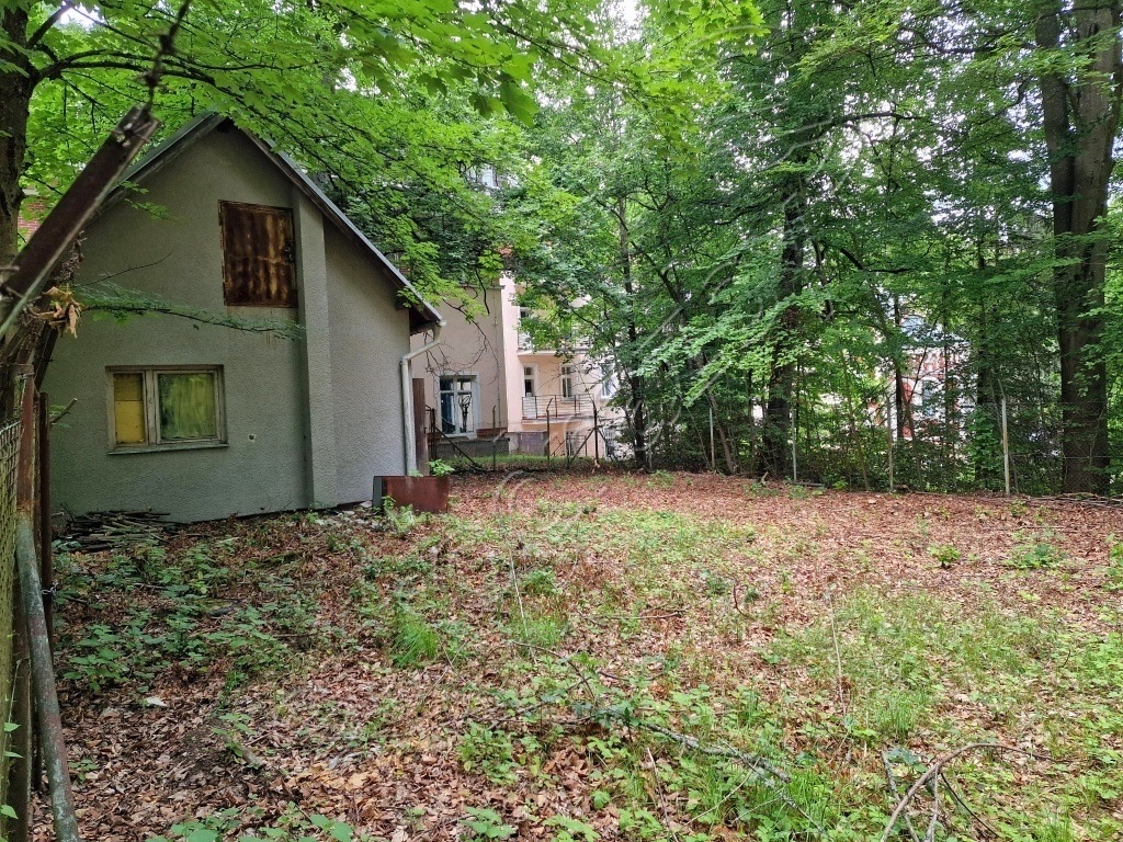 Obrázek dražby