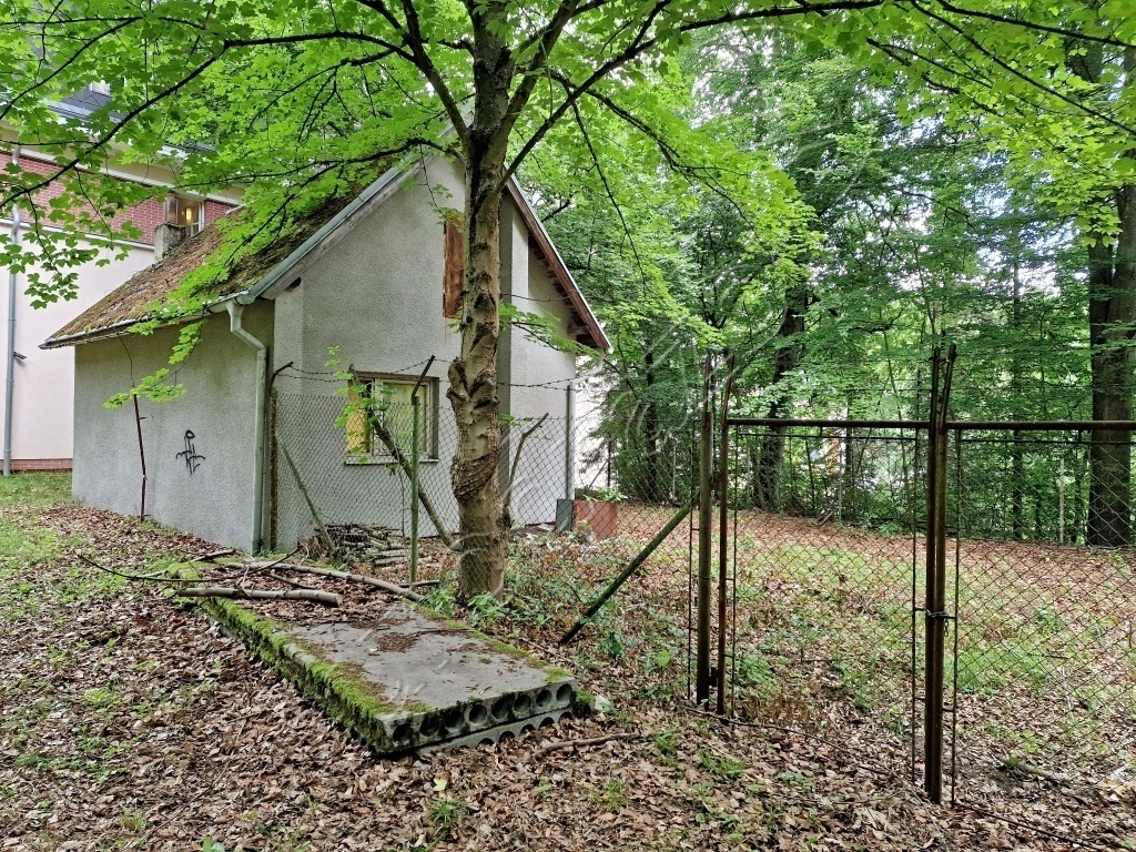 Obrázek dražby