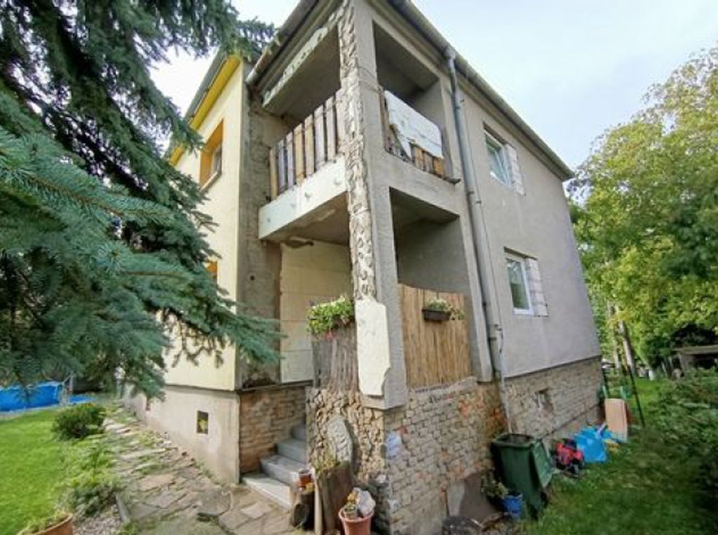Obrázek dražby