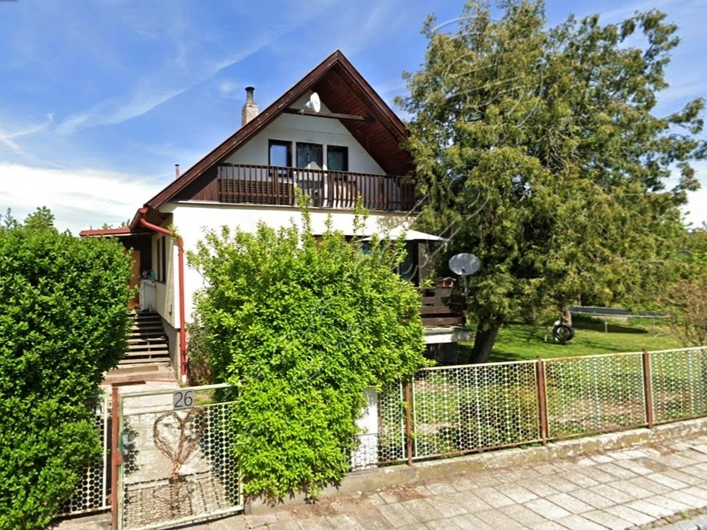 Obrázek dražby