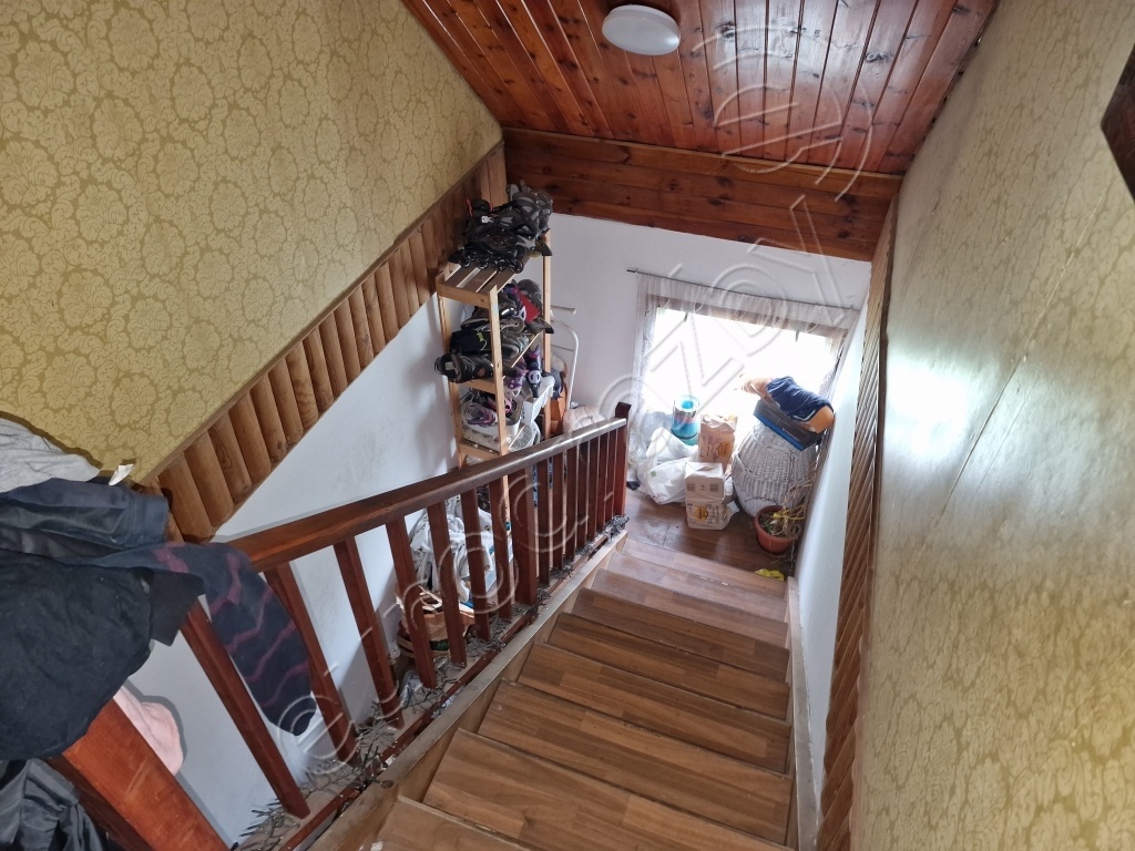 Obrázek dražby
