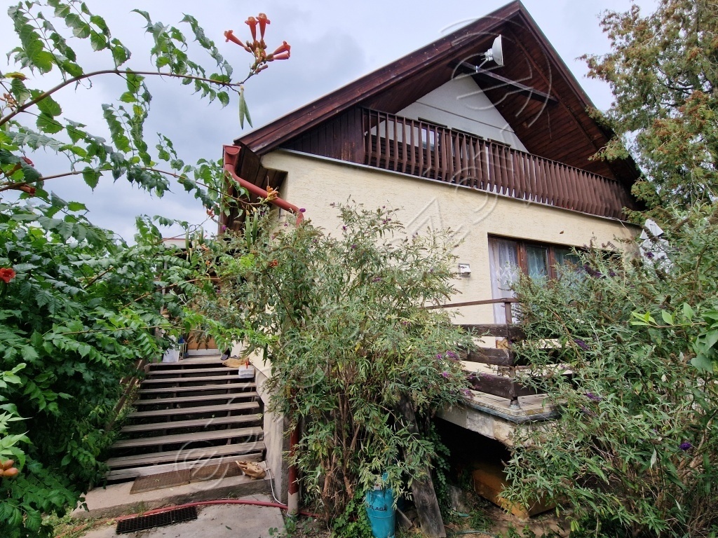 Obrázek dražby
