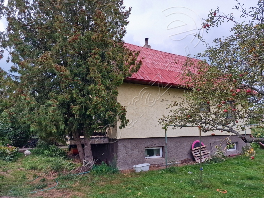Obrázek dražby
