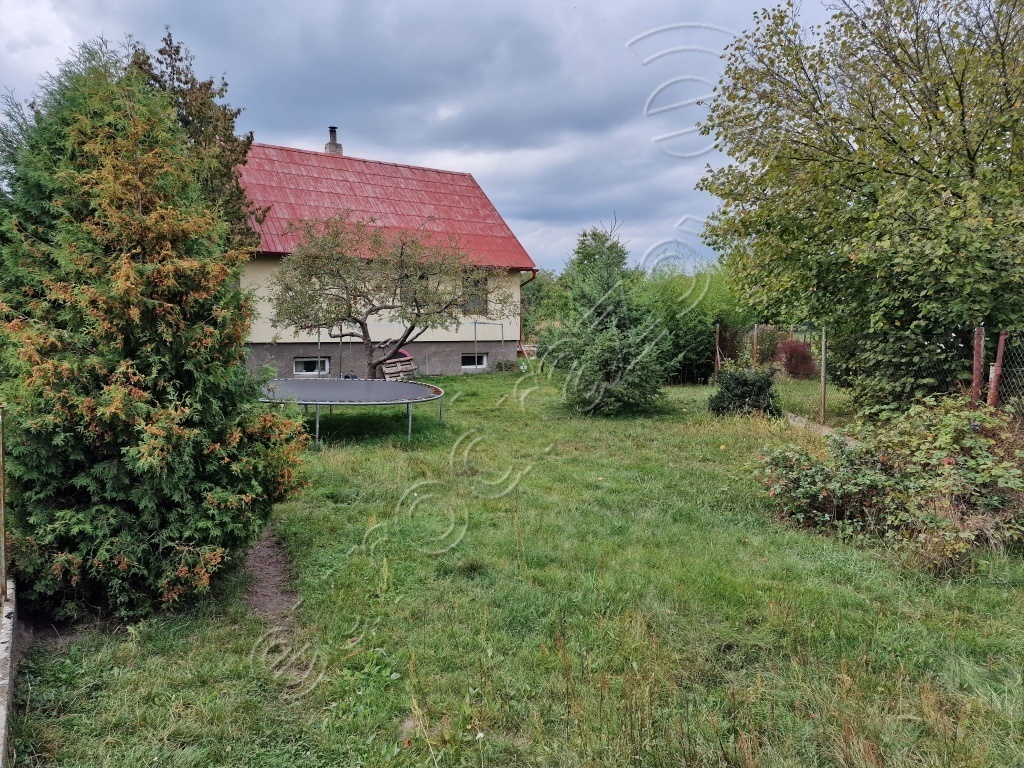 Obrázek dražby