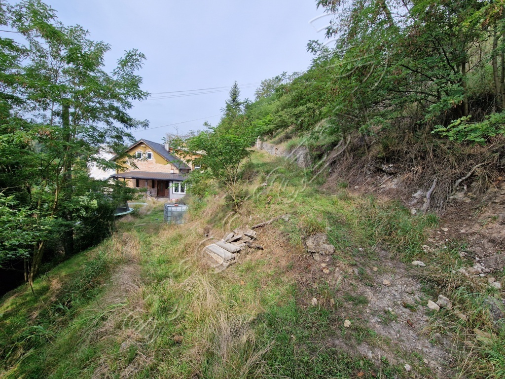 Obrázek dražby