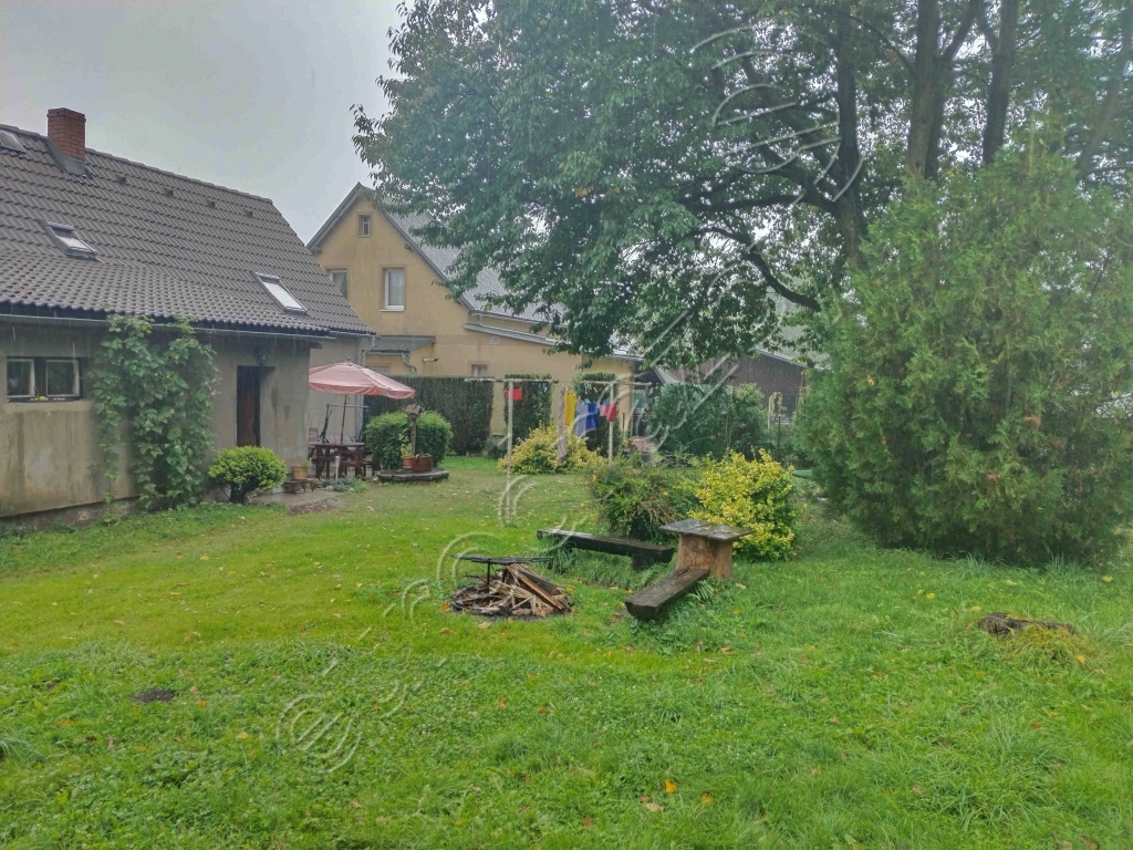 Obrázek dražby