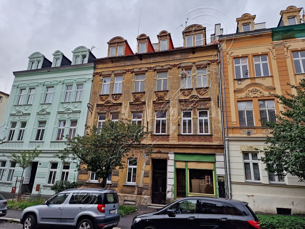 Obrázek dražby