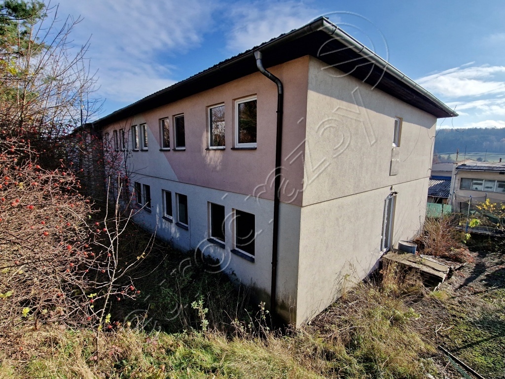 Obrázek dražby