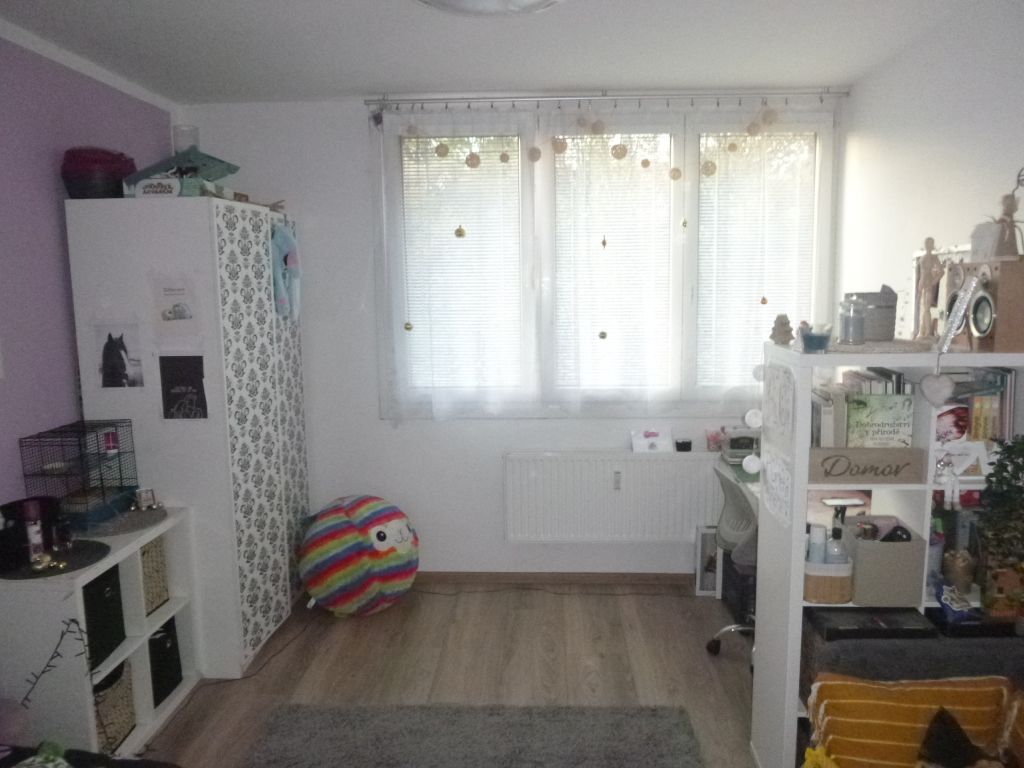 Obrázek dražby