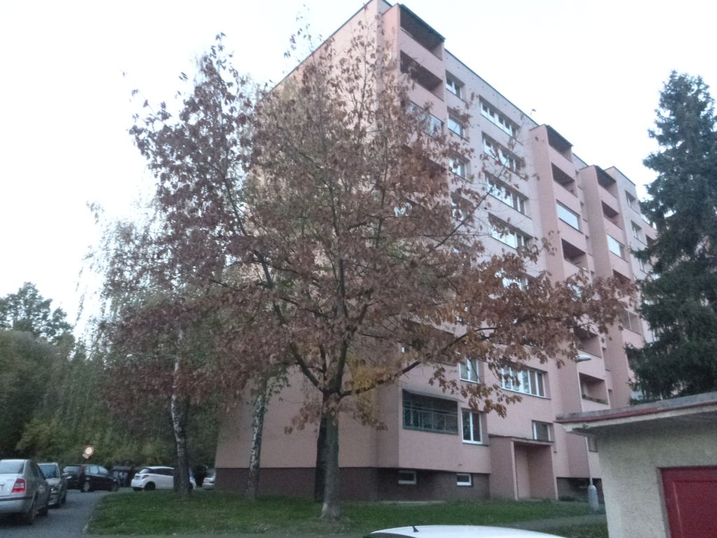 Obrázek dražby