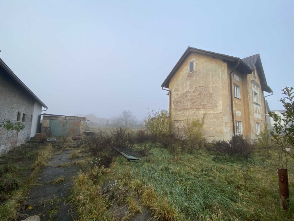 Obrázek dražby