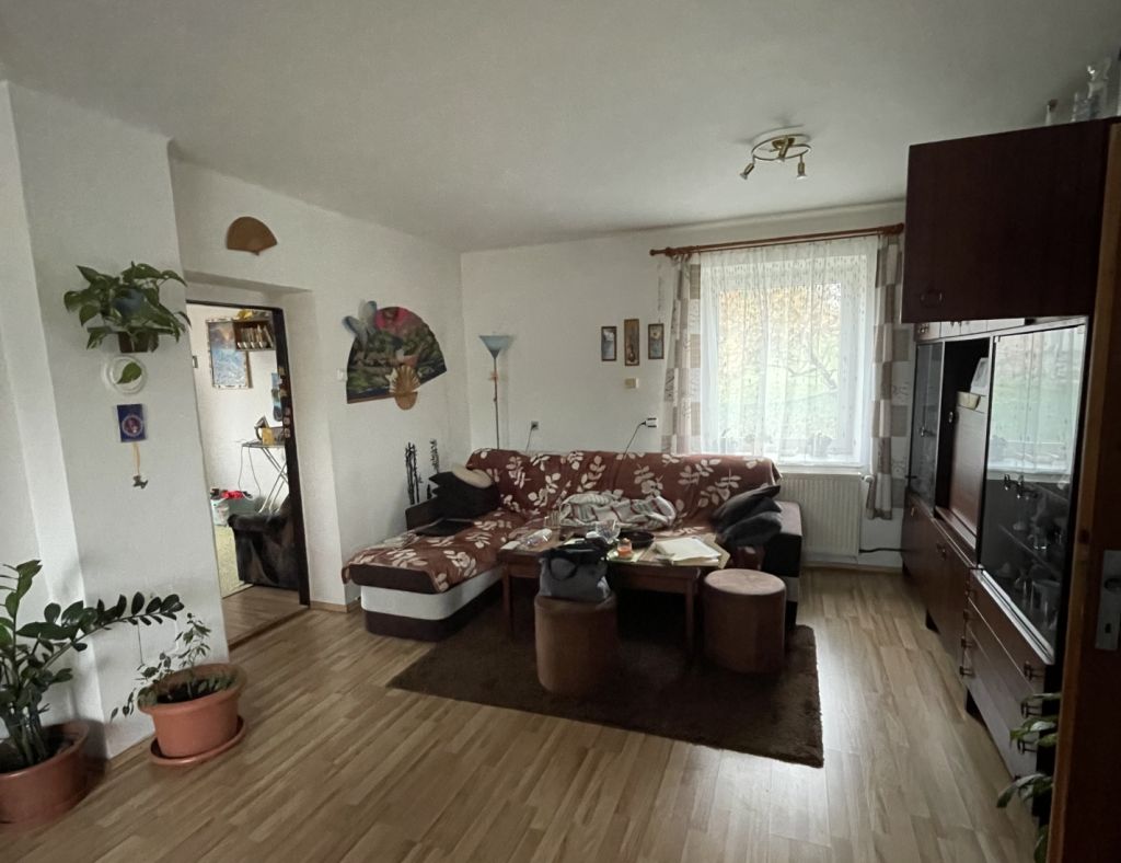 Obrázek dražby