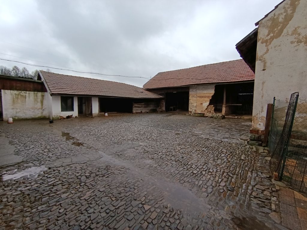 Obrázek dražby