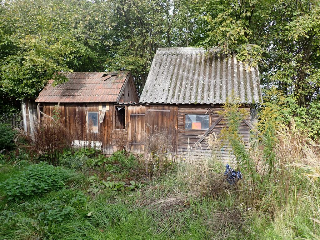 Obrázek dražby