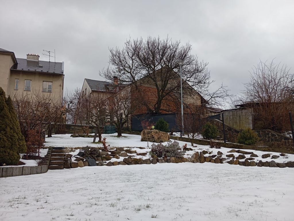 Obrázek dražby