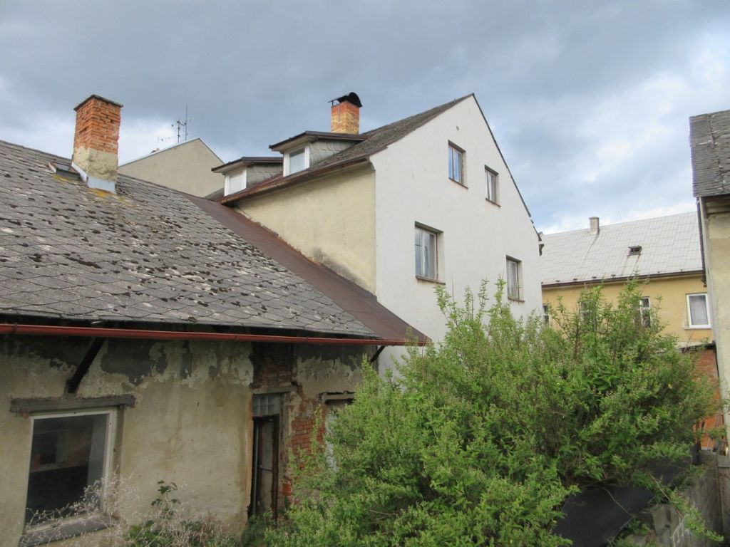 Obrázek dražby