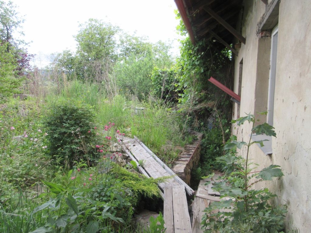 Obrázek dražby