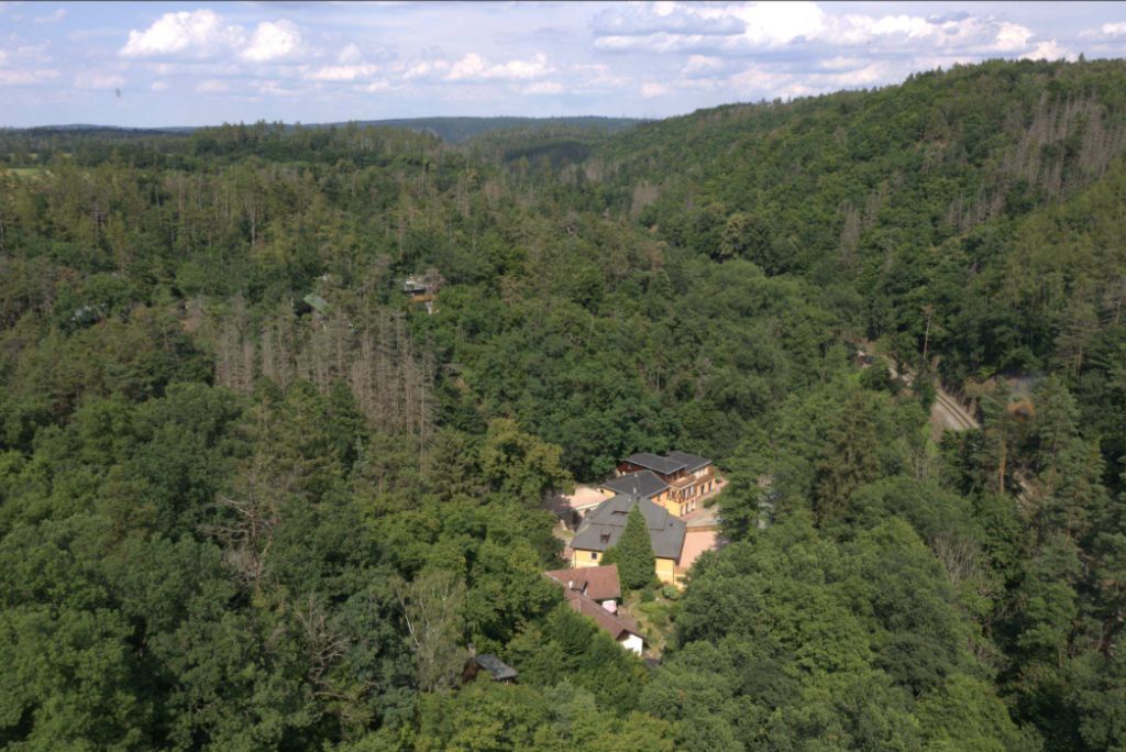 Obrázek dražby