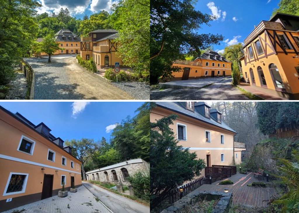 Obrázek dražby