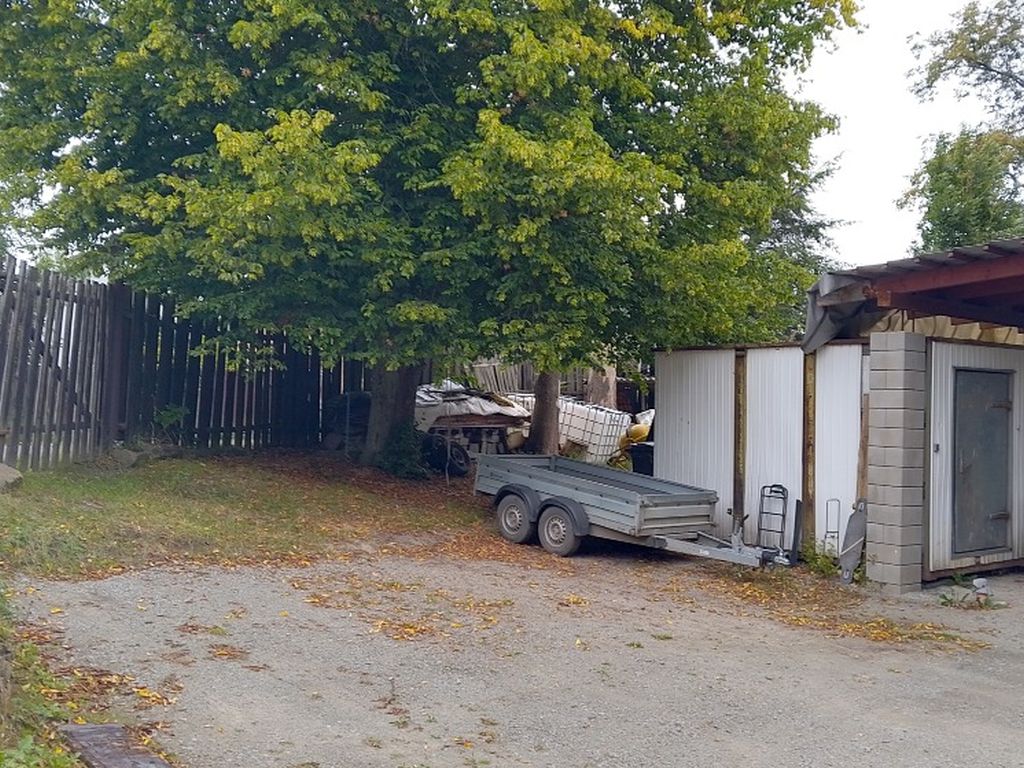 Obrázek dražby