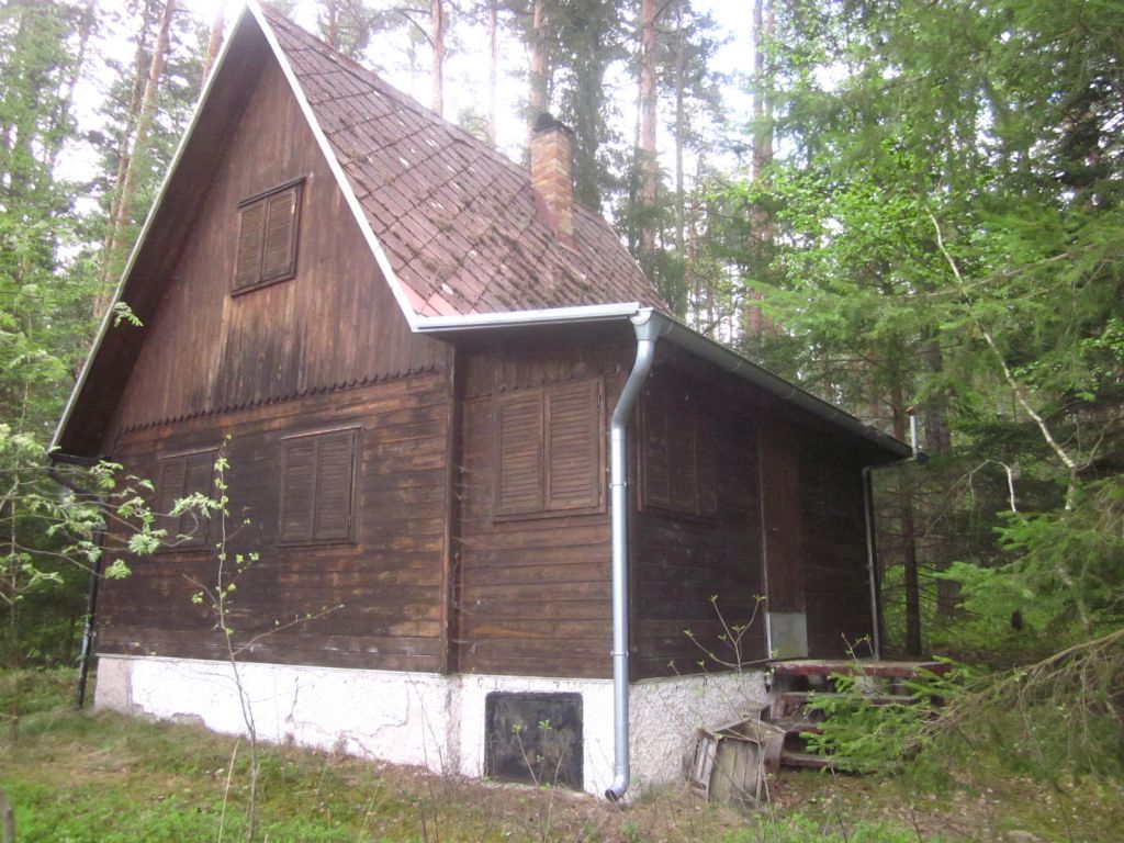 Obrázek dražby